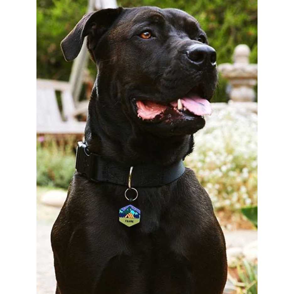 Silicone Dog ID Tag O27450