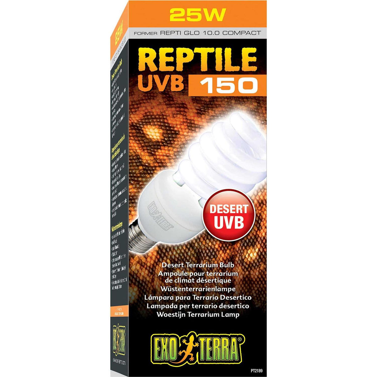 Desert Terrarium Bulb A597759