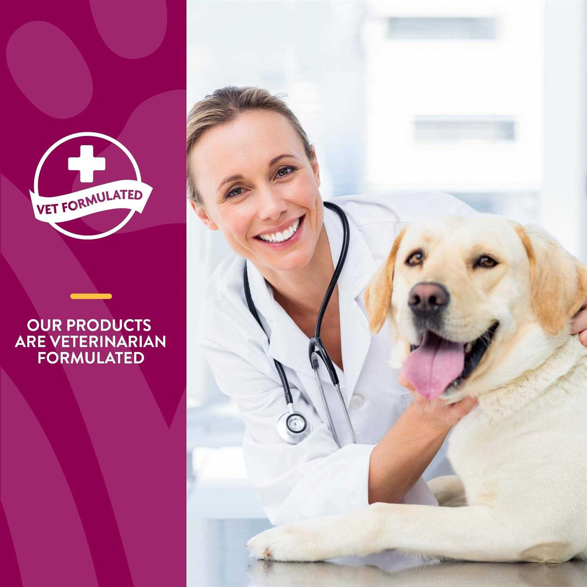 MSM Tablets for Dogs I67166