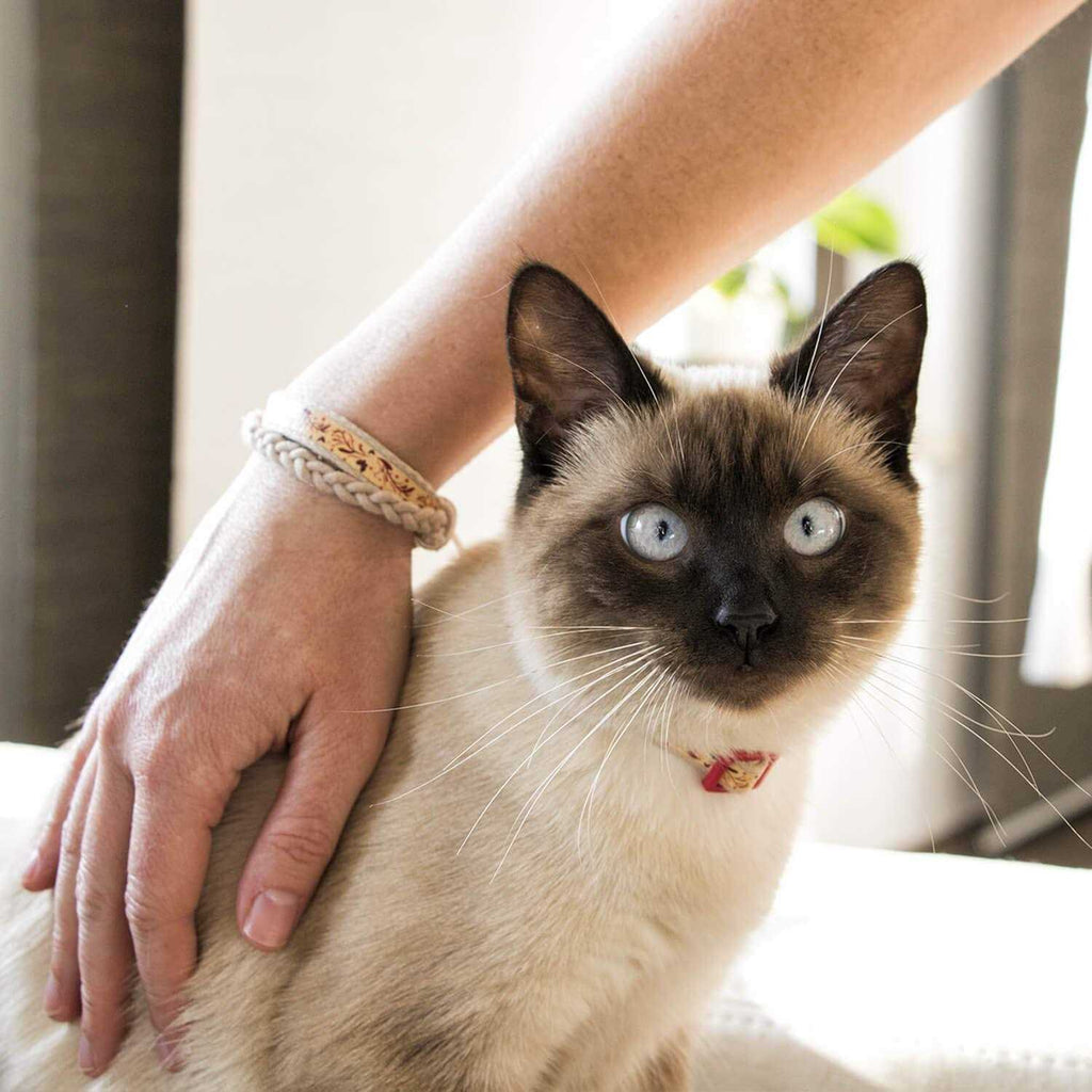 Cat Collar Breakaway R38800