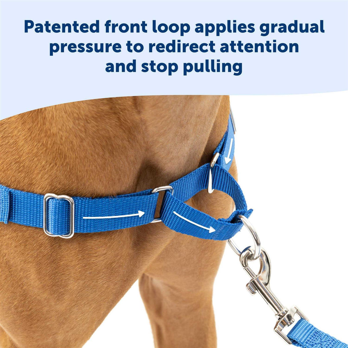 Easy Walk Dog Harness P929882