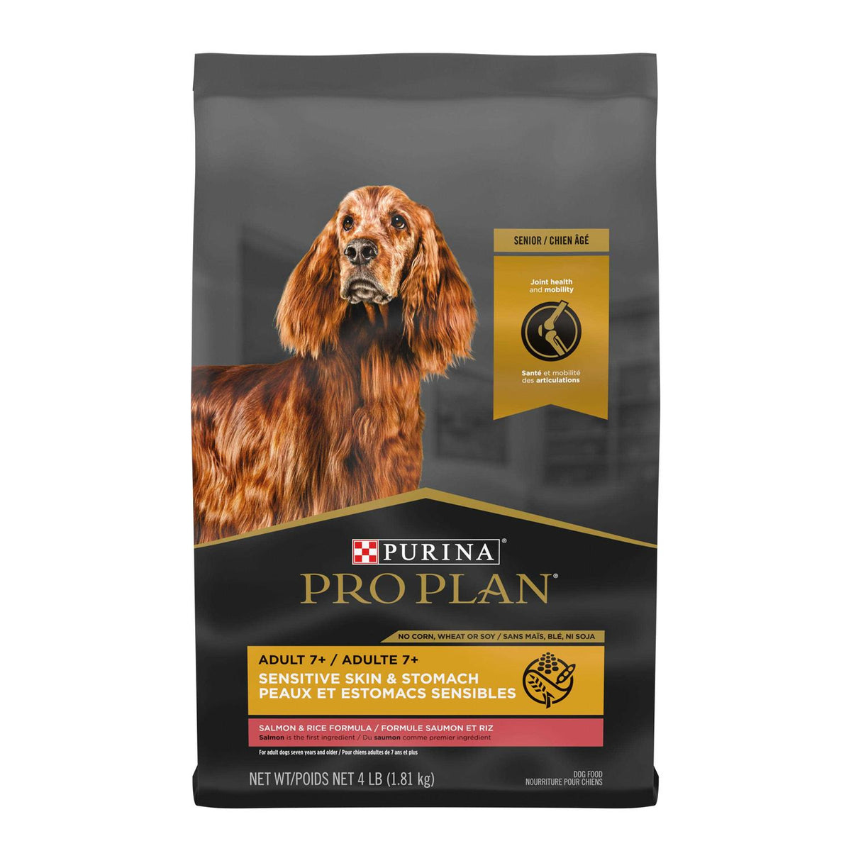 Salmon & Rice Senior Dry Dog Food R60190