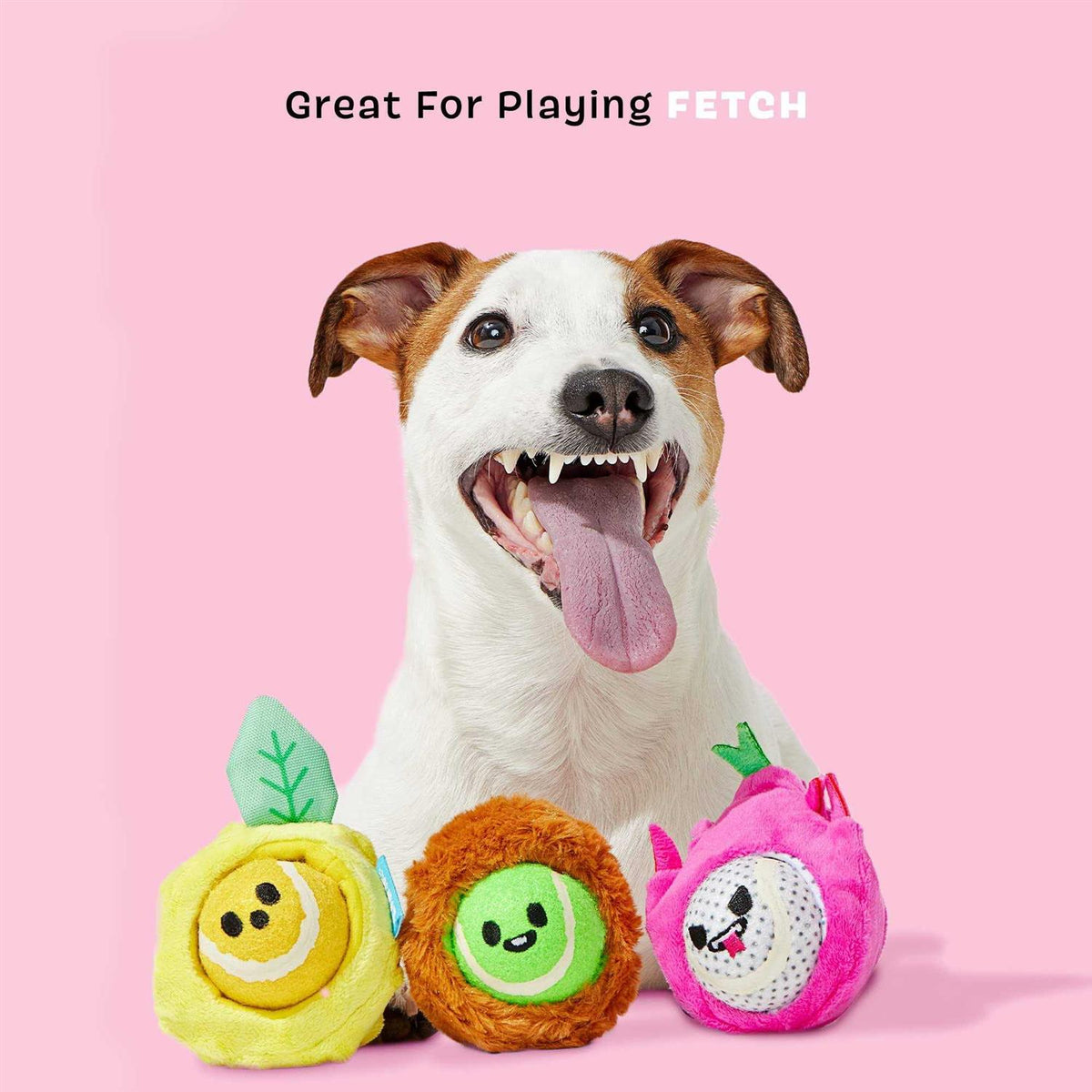 Dog Toys Squeaker Ball Toys I32509