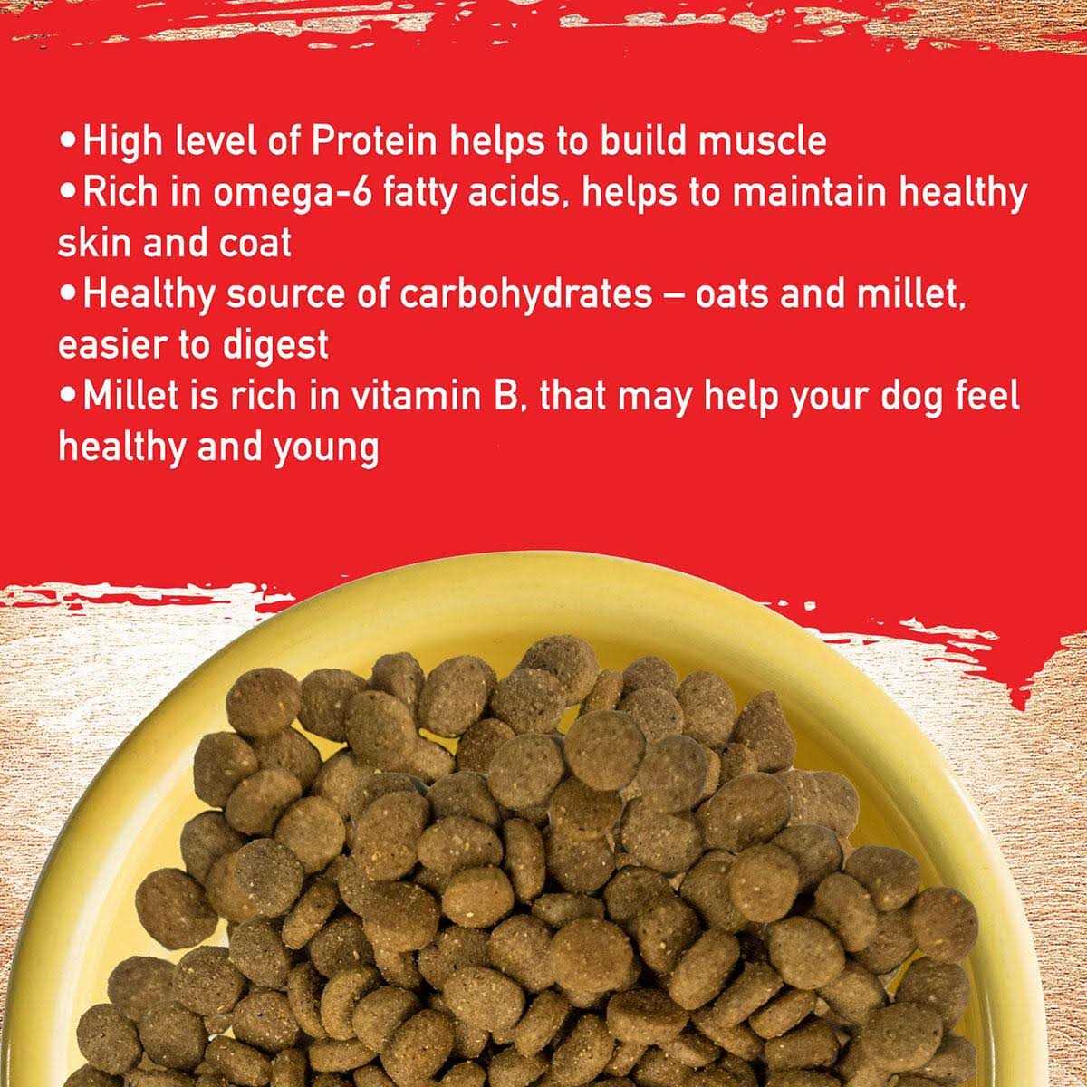 Pork Recipe Dog Food M9966