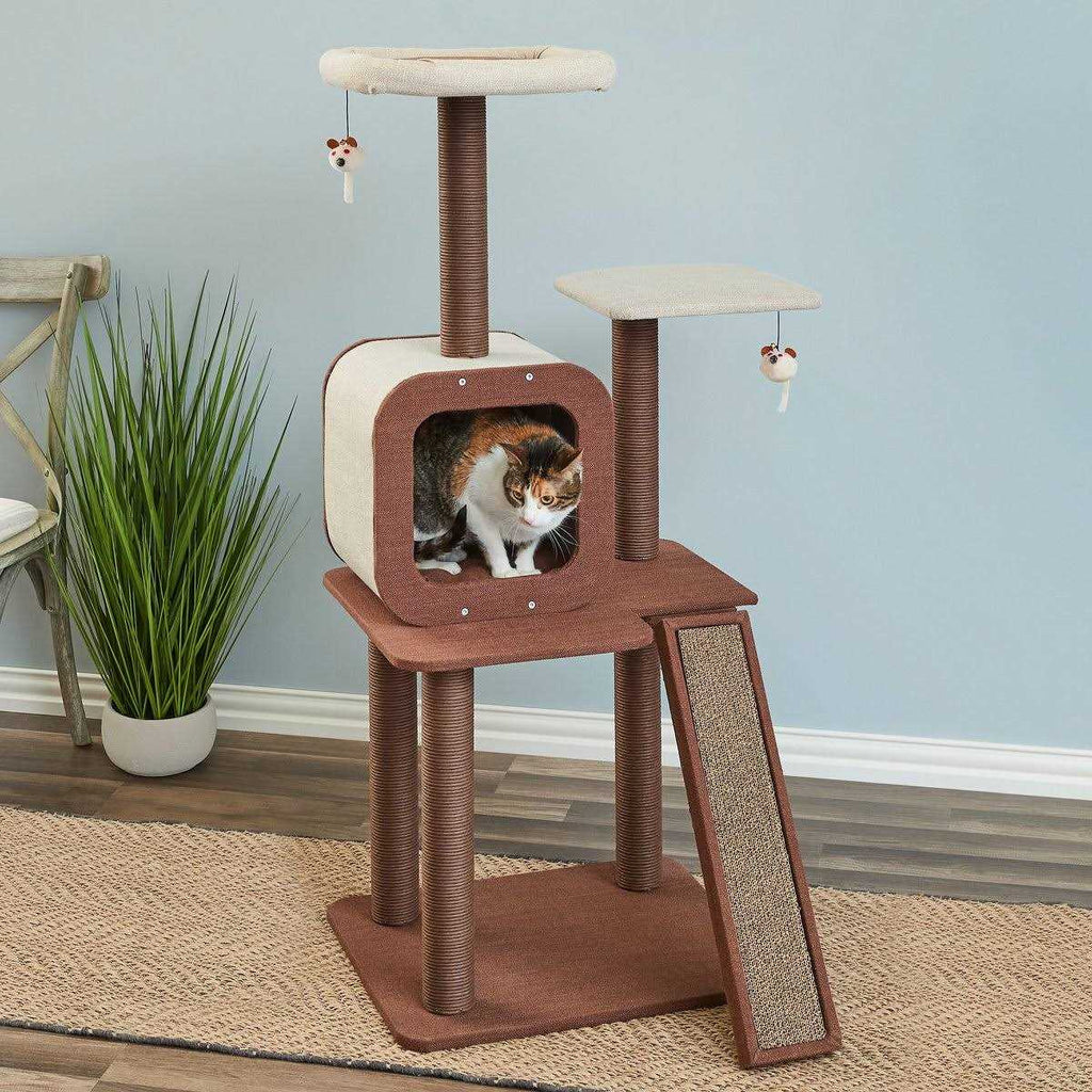 Redwood Cat Tree and Condo O314