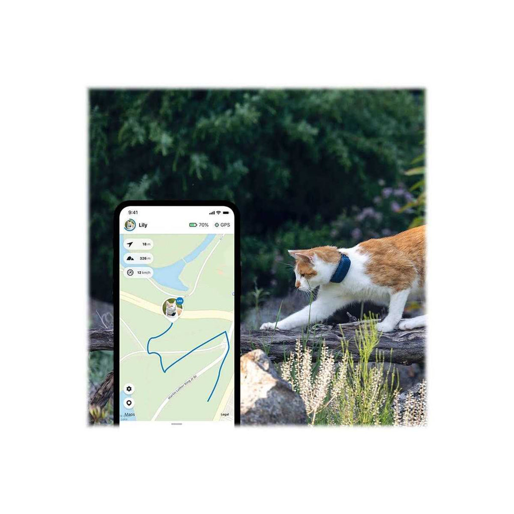 Waterproof GPS Cat Tracker T24855