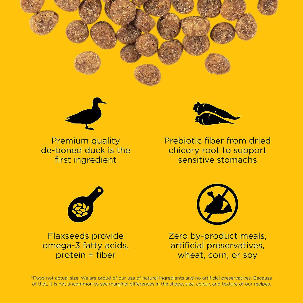 Limited Ingredient Duck Recipe Dry Cat Food J343