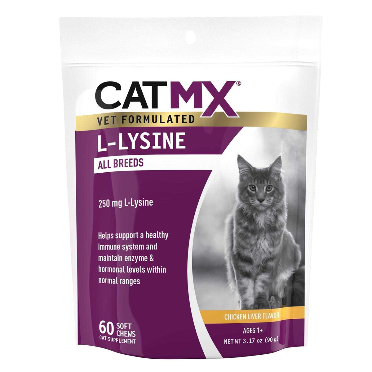 L-Lysine 60 soft Chews M925012