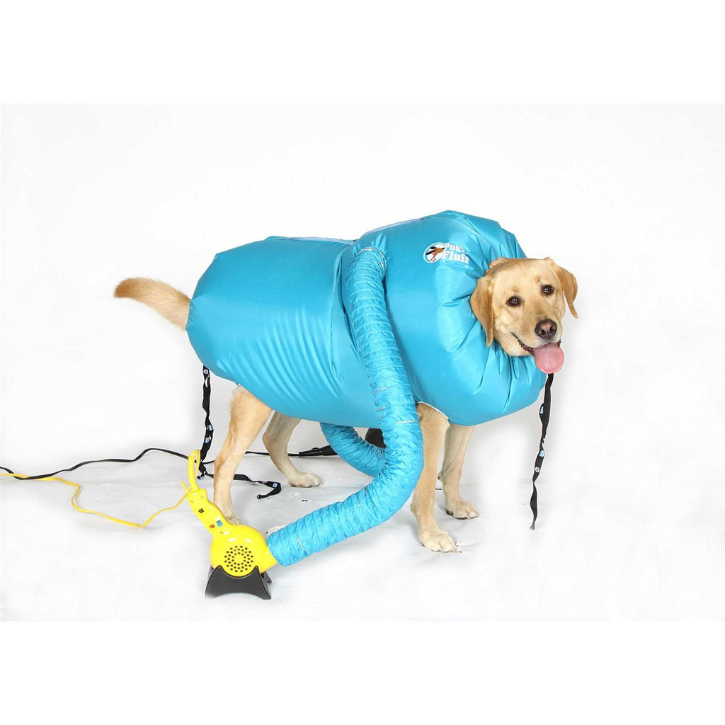 Small Dog Dryer C145891