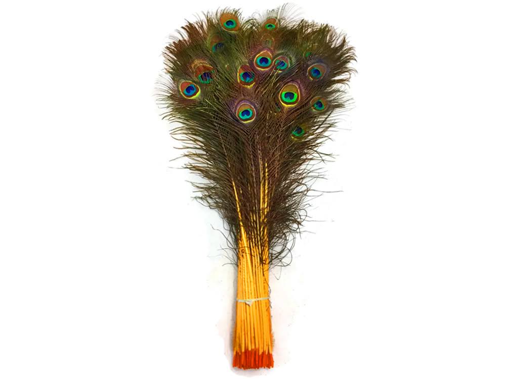 30-35x22 Golden Yellow Dyed Peacock Tail Feathers D24698