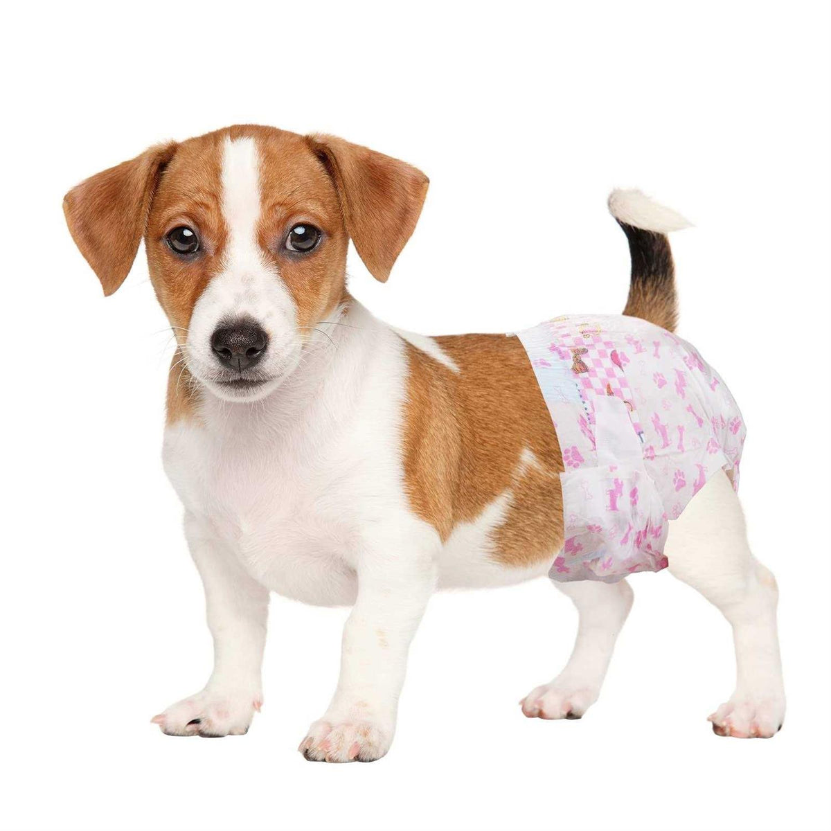 Disposable Dog Diapers Female Super Absorbent N320406