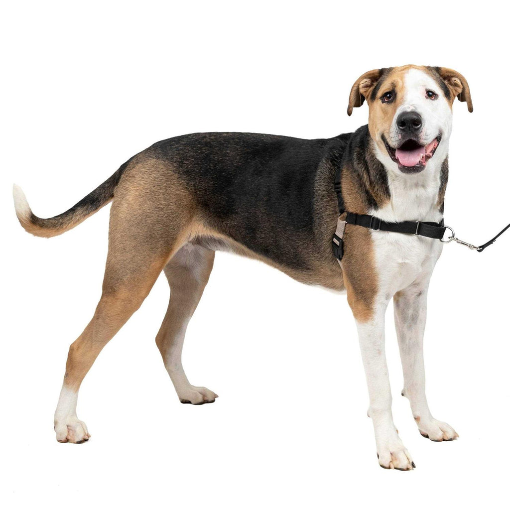 Easy Walk Dog Harness P929882