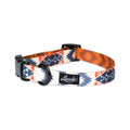 Collar A901326