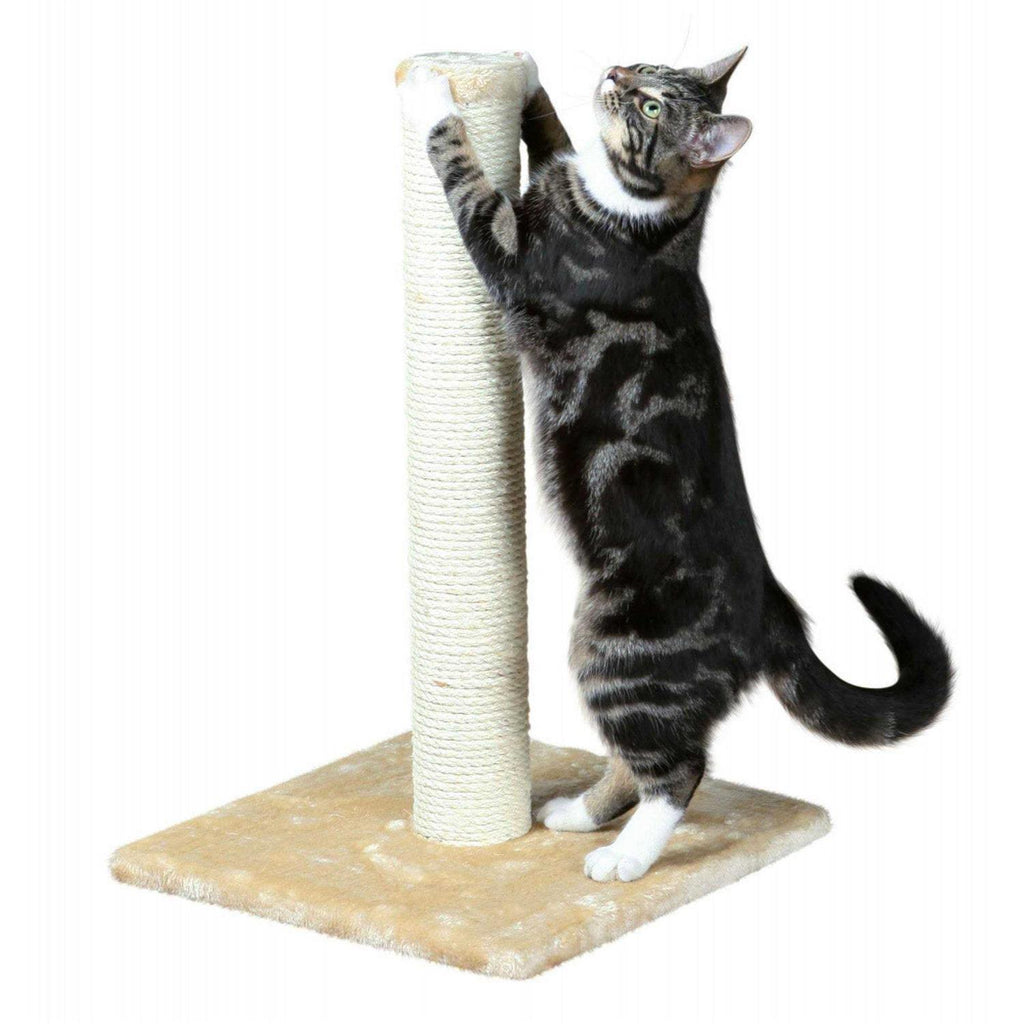 Scratching Post B8161