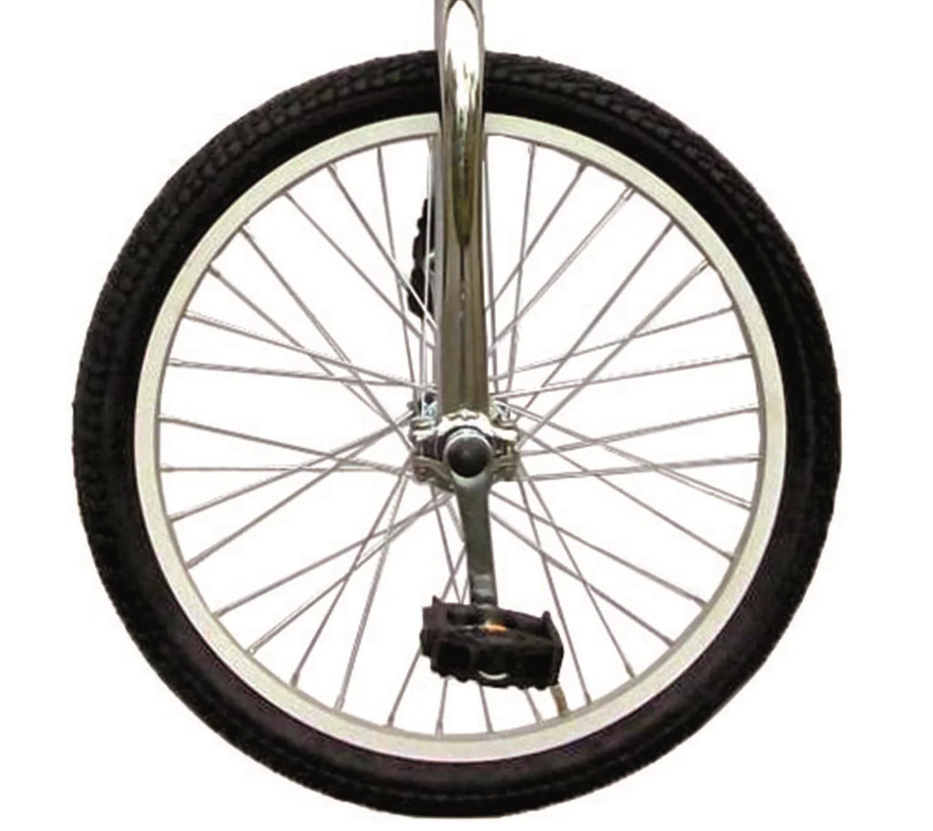 20 inch Unicycle with Alloy Rim, Blue I307196