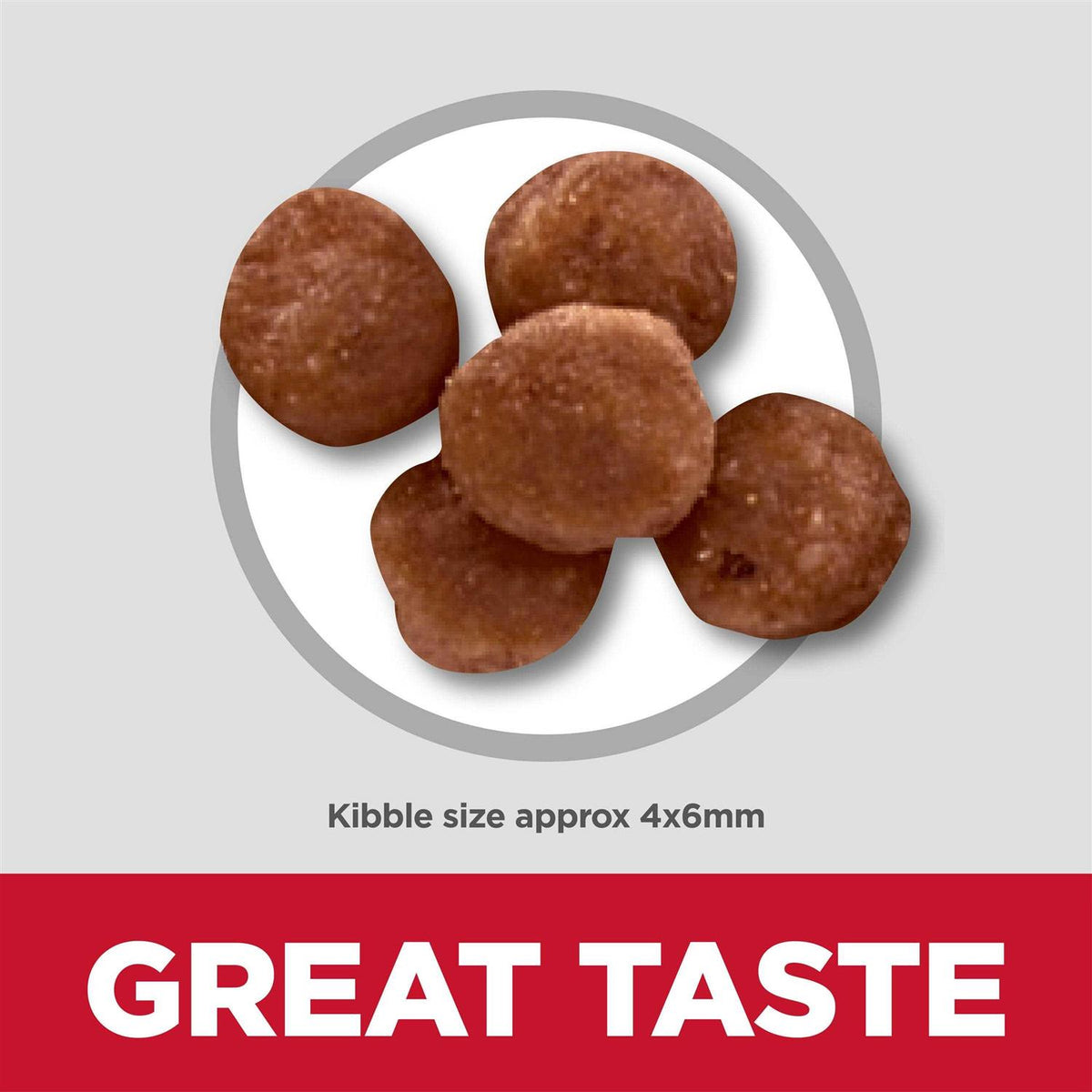 Indoor Kitten Dry Cat Food U63526
