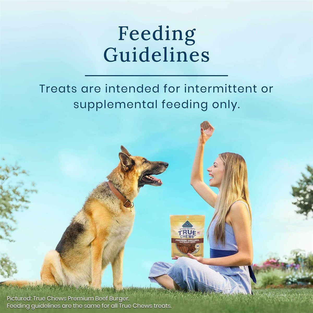 Dog Treats A49130