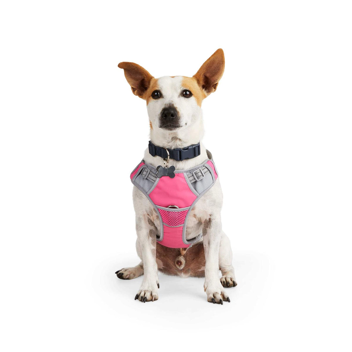 Reflective Dog Harness Y671857