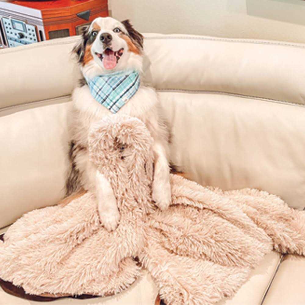 Throw Blanket A31613