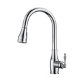 Polished Chrome Kitchen Faucet with Pull-Out Spray F589